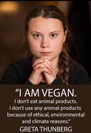 Appreciation for inspiring vegan transition ideas