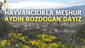 Konum olarak nazilli i̇lçesi'nin güneybatısında nazilli'ye 30 km. Hayvancilikla Meshur Aydin Bozdogan Dayiz Bizim Koy Youtube