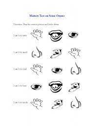 English Teaching Worksheets Sense Organs Teaching Grade 1st Grade Worksheets Worksheets
