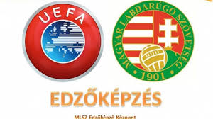 It organizes the hungarian league and the hungarian national team. Mlsz Baranya Megyei Igazgatosag Kreditpontgyujto Konferenciak Egyik Telkiben Masik Nyiregyhazan