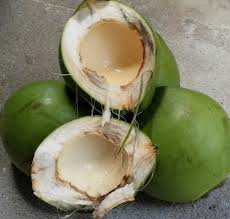 Young Coconut Shell For Curry Thai Recipes Coconut Food