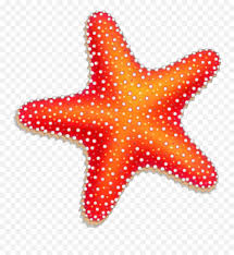 We did not find results for: Starfish Png Transparent Images Starfish Clipart Png Ocean Clipart Png Free Transparent Png Images Pngaaa Com