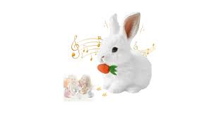 Image result for tbn:nuNU7FPK4A54yM::rvforsaleguide.com/images/bunny-resting-picture.jpg