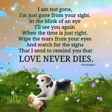 Best pet loss quotes selected by thousands of our users! Pin By Sandy Allen On Dogs Pet Grief Dog Loss Quotes Losing A Dog