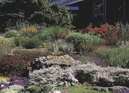 We believe this promotes biodiversity this is a starter list of native plants for michigan, wisconsin, and eastern minnesota. Perennials Michigan Gardener