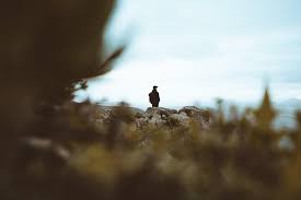 From sleep by sad park. Wallpaper Man Alone Sad Nature Hd Widescreen High Definition Fullscreen