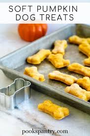 Maybe you would like to learn more about one of these? Pin On Homemade Dog Treats And Dog Food
