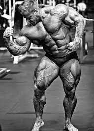 Amazon Com Tomorrow Sunny Jay Cutler Ifbb Bodybuilder Mr Olympia Art Print Photo Silk 24x36 Poster Posters Prints