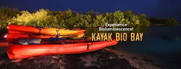 Bioluminescent Bay Puerto Rico Boat Tours Discover Bioluminescence Bio Bay Kayak Tour In Fajardo Puerto Rico Kayak Tours Puerto Rico Trip Kayaking