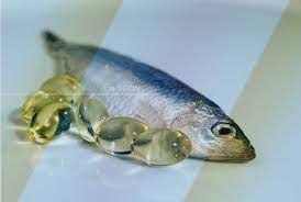 Benarkah Minyak Ikan Bisa Bantu Perkembangan Otot Sfidn - Science From Indonesia Articles