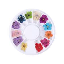 Mixed dried flowers 3d nail art decoration nails flower tips manicure stickers. Nail Nail Dry Flower Star Sunflower Daffodil Five Petals Small Dry Flower Beauty Products Walmart Com Walmart Com