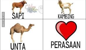 24 Meme Idul Adha Hewan Qurban Lucu Bikin Ngakak Mamikos Info