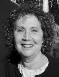 Democratic chair enters Shawangunk town race