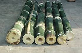 Image result for Bambusa balcooa