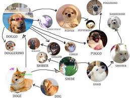 doggo chart doggo know your meme