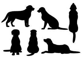 We did not find results for: Back Dog Silhouette Sitting