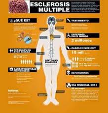 La esclerosis multiple (em) es una enfermedad autoinmunitaria que afecta el cerebro y la médula espinal (sistema nervioso central). 52 Esclerosis Multiple Ideas Multiple Sclerosis Multiple Sclerosis Awareness Ms Awareness