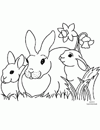 Free printable rabbit coloring pages for kids. Bunny Rabbit Drawing Bunny Coloring Pages Animal Coloring Pages Easter Bunny Colouring