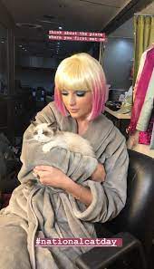 Taylor Swift Swifties Swiftieforever Indianswiftie Swiftiesforever Swiftietag Swiftie Swi Taylor Swift Cat Taylor Swift Pictures Long Live Taylor Swift