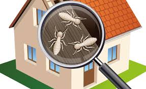 We have the solution for you! Termite Wdi Dir Home Inspection