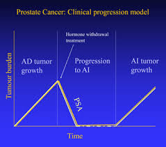 In the past several years, 2 general lines of evidence have supported a role of lycopene in the prevention of certain malignancies, especially prostate cancer. Prostate Supplement Italian Prostate Supplement Manufacturing Distributors Health Prostate Dietary Pharmaceutical Products Distributors Italian Food Diet Supplements To Prevent Prostate Cancer Activities Organic Lycopene Health Prostate Diet Suppliers