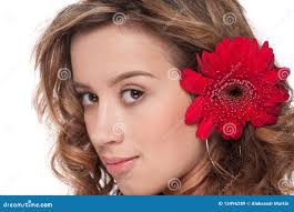 1,177 Young Aster Stock Photos