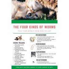 Jugak terdapat beberapa jenis ubat cacing yang boleh diambil oleh pesakit untuk merawat masalah tersebut. Devo Dewormer Ubat Cacing For Cat Akuarium Sui Yin Facebook