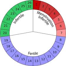 How To Calculate Your Ovulation Days And Days You Havent