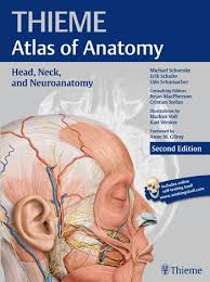 This second edition of volume 3 in the thieme atlas of anatomy series. Anatomy Head Neck And Neuroanatomy Thieme Atlas Of Anatomy Print Version