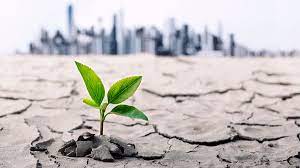 Lines of communication were always open and they took into consideration my family's many conflicting requests while offering great suggestions. Sustainable Environment Anuga