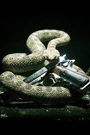 The best quality and size only with us! Free Download Wallpaper For Iphone Snake Gun 640x960 For Your Desktop Mobile Tablet Explore 50 Gun Wallpaper For Iphone Cool Gun Wallpaper Machine Gun Wallpaper Cool Gun Wallpapers Hd