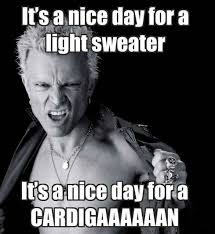 Regranned From Nerdswithvaginas Sweater Weather Is Finally Upon Us Now In La Nerdswithvaginas Billyidol Lol Meme Funny Funny Haha Funny Funny Jokes