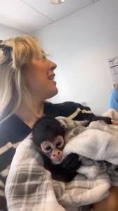 Roméo notre singe araignée qui vole la vedette dans les coulisses du  maquillage/coiffure de « Salut Bonjour Week-end » avec Anaïs  Guertin-Lacroix. Merci de partager ce moment. Ce livre de mandalas du