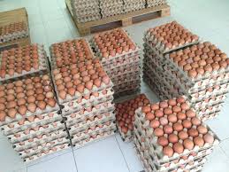 Harga borongan baja ringan 2021 per m2. Telur Papan Gred Aaa Asnaf I Care