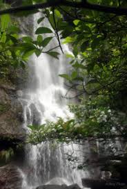 Setelah membeli karcis dan masuk pintu di pintu gerbang langsung akan ditemui. Hiking Adventure Di Curug Tujuh Ciamis Tulisan Urang Kampung