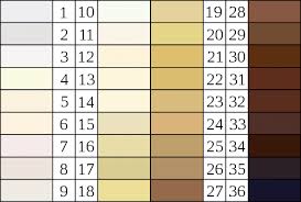Von Luschan Skin Color Chart Download Scientific Diagram