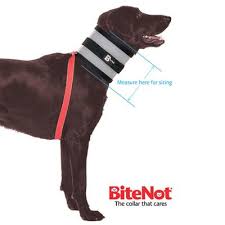 the original bitenot dog collar size 6 cone alternative