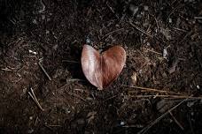 Garden Soil Management — Dodge County Master Gardener