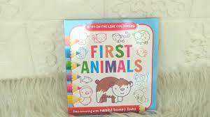 10 1/2 x 8 1/2the image is presented in raised line First Animals Stay In The Line Colouring Book Easy Colouring With Raised Bumpy Lines Youtube