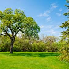 Get quotes and book instantly. Texas Lawn Cuttin Lawn Service Cleburne Texas