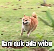 Mentahan gambar anjing / vector pet / saksikan hanya di saluran tv anak spacetoon indonesiacopyright 2016 pt. 100 Ide Stiker Wa Patrick Meme Di 2021 Lucu Emoji Lucu Gambar Lucu