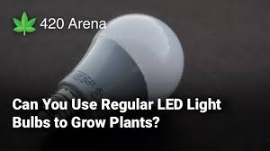 Fluorescent and led lights have a lower heat signature, so they can be placed 12 and 6 inches over plants respectively. Can You Use Regular Led Light Bulbs To Grow Plants