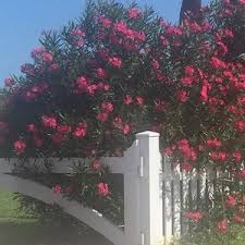 This Closet Is Awesome Shop Suzannez1 S Latest Listings On Poshmark Join With Code Nikdevon For A 10 Credit Poshmark Dress Makeup Fashion Buy