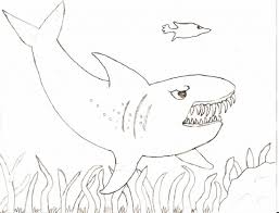 Here are some free pictures of sharks for you to download, and for your kids to color in. Shark Color Pages Activity Shelter