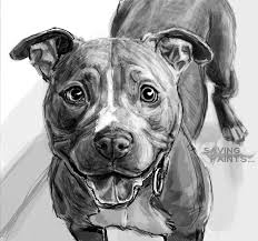 Sketch Pitbull 0418162 By Saving Paints Deviantart Com On Deviantart Pitbull Art Dog Sketch Pitbull Drawing