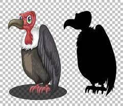 See vulture cartoon stock video clips. Griffon Vulture Cartoon Character With Its Silhouette 1428717 Vector Art At Vecteezy