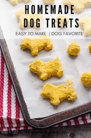 Dog Treat Recipe For Dogs With Allergies Grain Free Home Plate Recipe Dog Treats Grain Free Grain Free Dog Treats Recipes Dog Biscuit Recipes