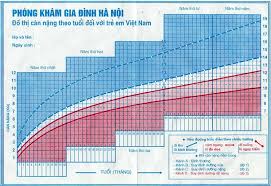 Vietnamese Growth Chart 3