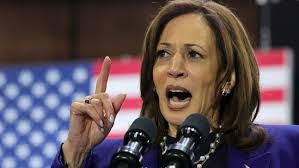 NYT: Kamala Harris, known for her deep knowledge and ability to articulate  complex issues, is thinking about launching "an institute for policy and  ideas." 🤡