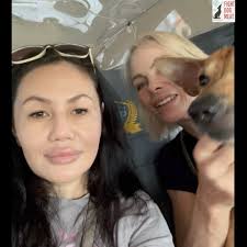VIETNAM: OUR 4 DOGGIE RESCUES GET GOV'T VET CLEARANCE TO FLY., Henry, Milo,  Simon and Ivan traveled with Michele and Wendy (and Doggie Ranch team  members) to the Government Vet in Saigon. Our kids ...